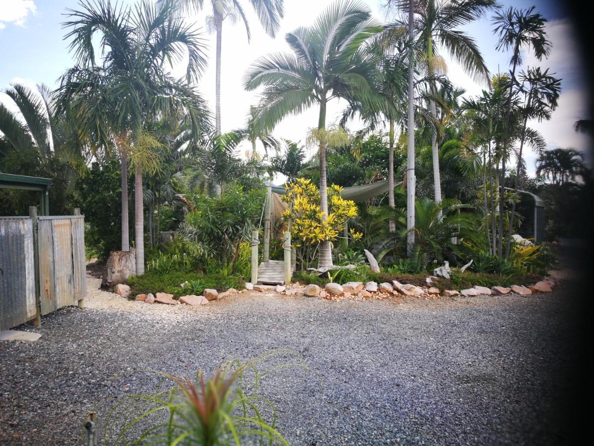 Chillagoe Cabins And Tours Eksteriør billede